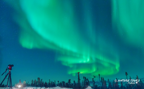 Northern Lights - Arctic Circle - Yukon Canada