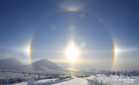 Arctic Circle Tour - Canadian Signature Experience - Nature Tours of Yukon