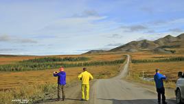 Dempster Highway photo stop