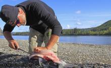 Fishing Yukon